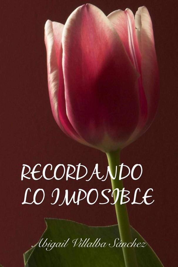 Portada de Imposibles 2 - Recordando lo imposible